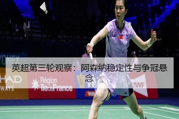 ying-chao-di-san-lun-guan-cha-a-sen-na-wen-ding-xing-yu-zheng-guan-xuan-nian-2-814.jpg